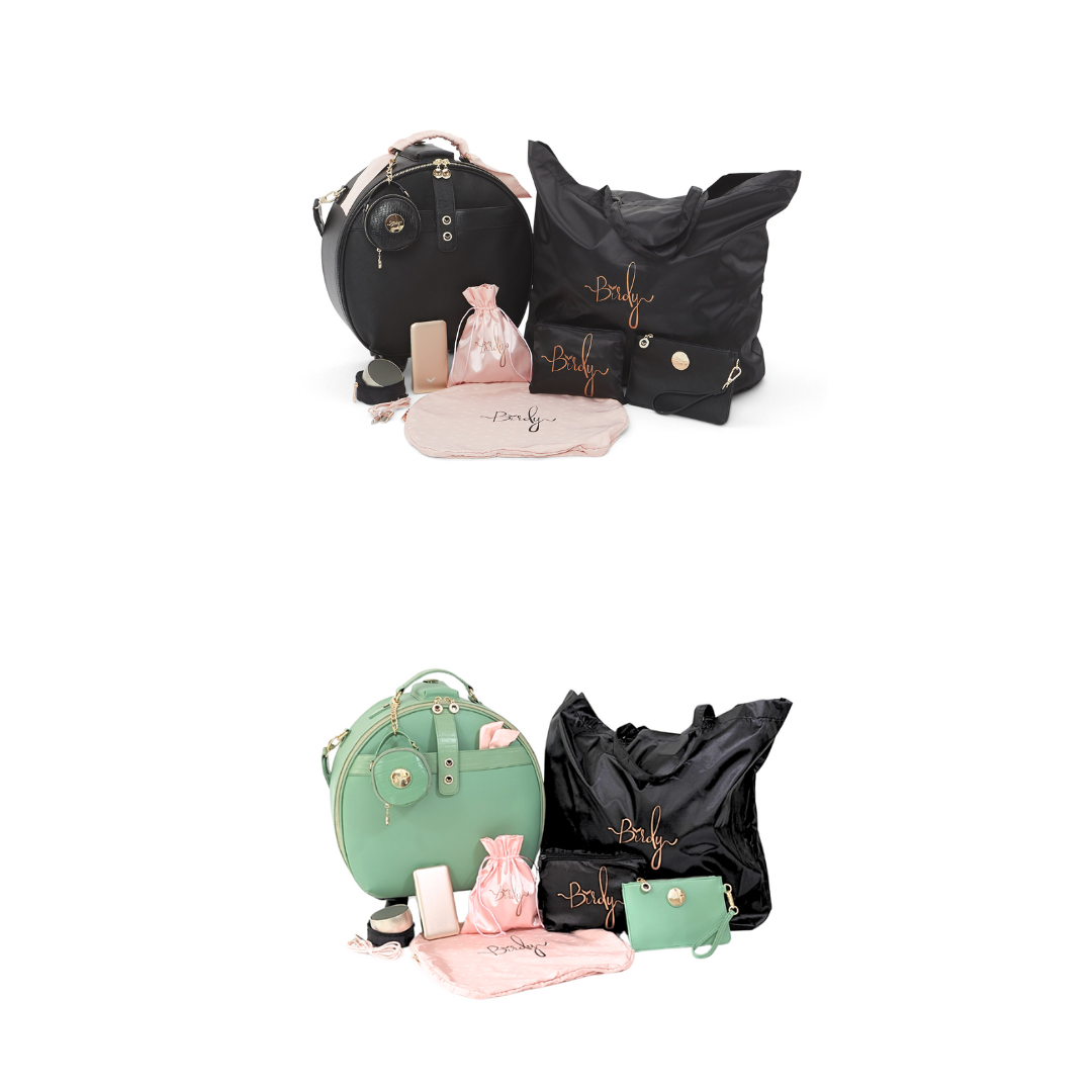 Shop Deluxe Birdy Smart Double-Stacking Luggage Set – Birdy Boutique